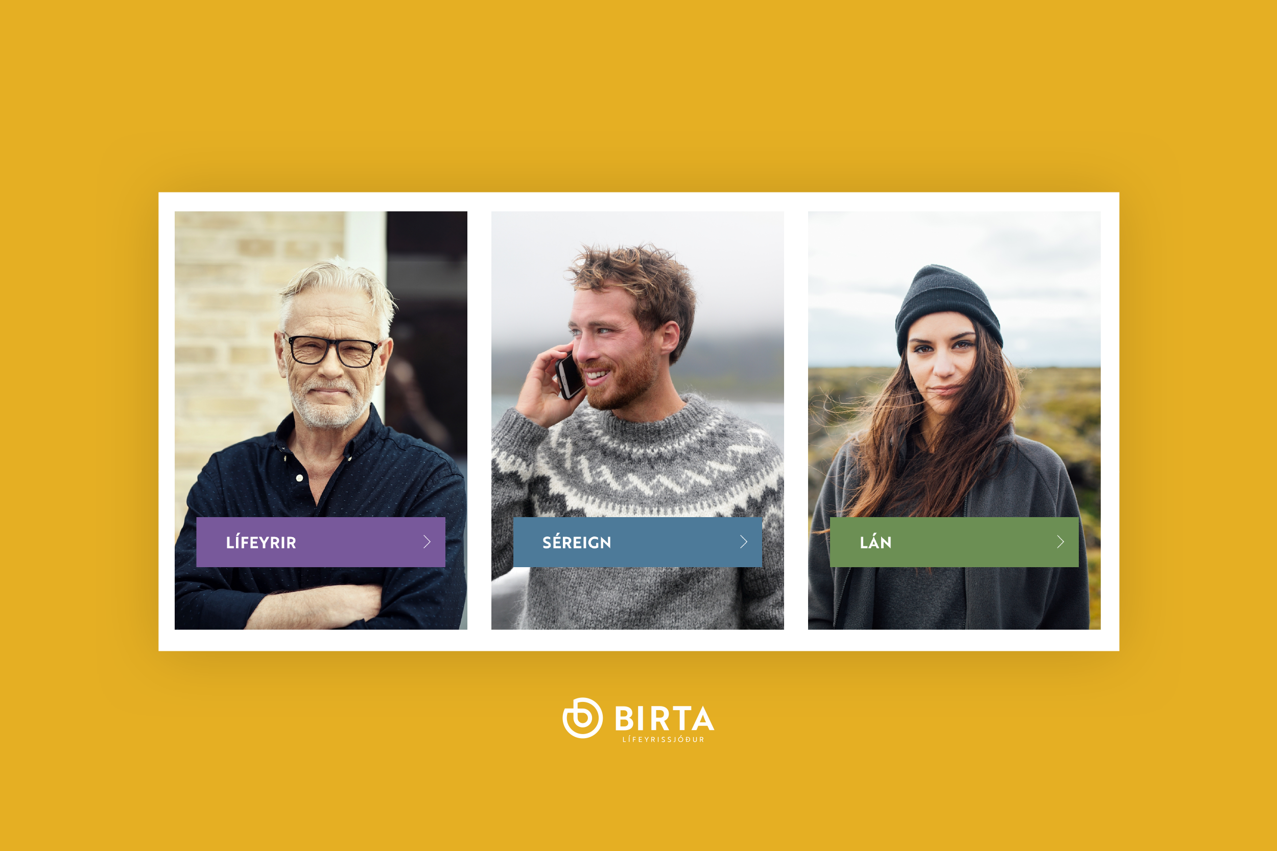 birta-overview.png